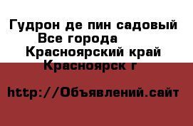 Гудрон де пин садовый - Все города  »    . Красноярский край,Красноярск г.